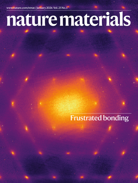 Nature Materials cover, January 2026